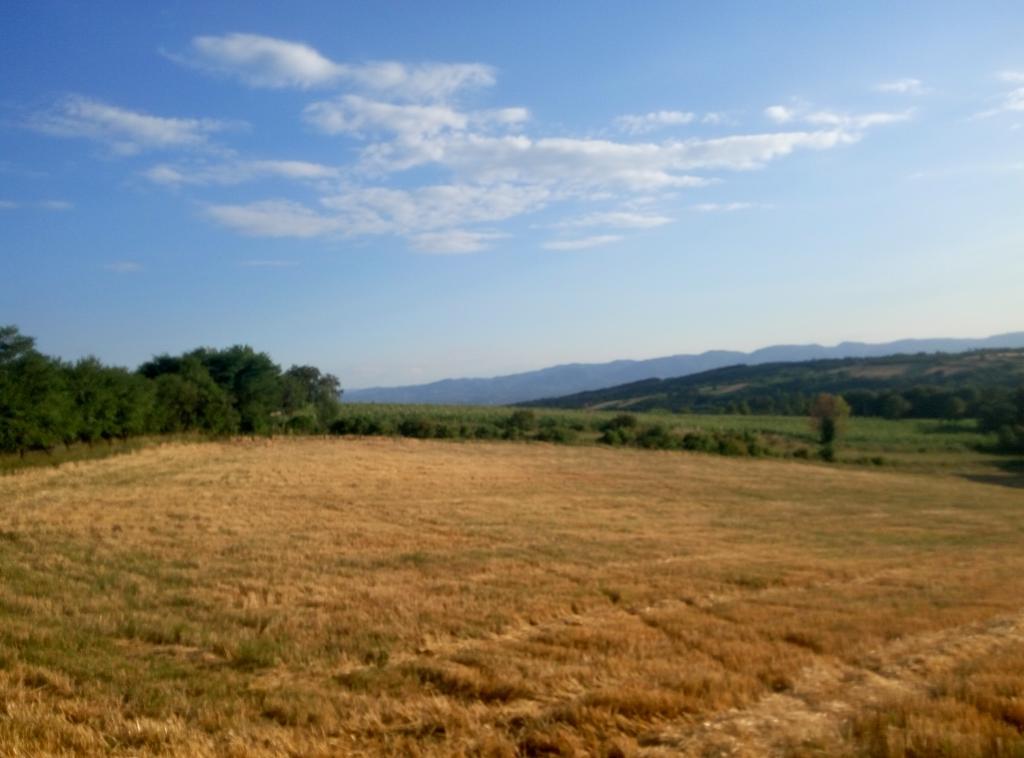 Guesthouse Edelnice Gornja Trepča المظهر الخارجي الصورة