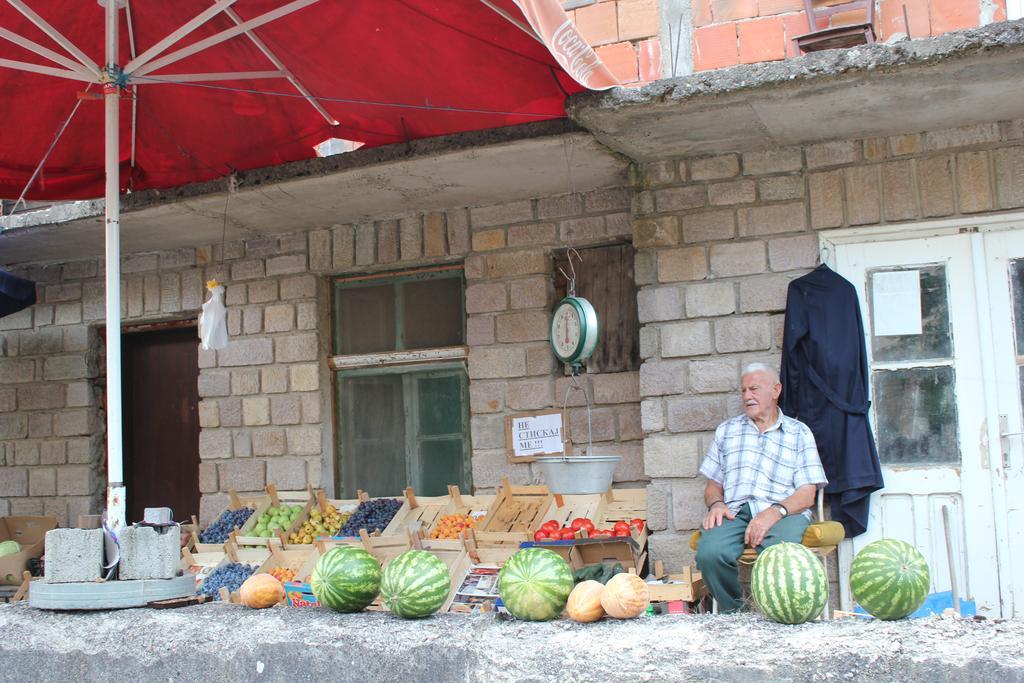 Guesthouse Edelnice Gornja Trepča المظهر الخارجي الصورة
