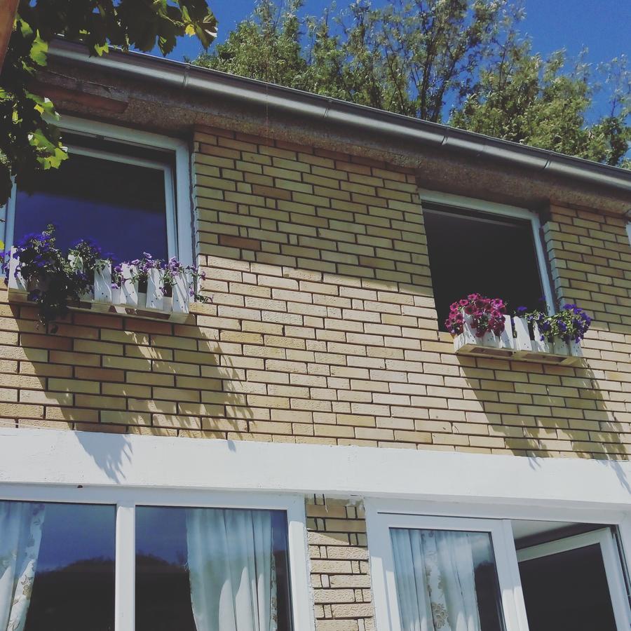 Guesthouse Edelnice Gornja Trepča المظهر الخارجي الصورة