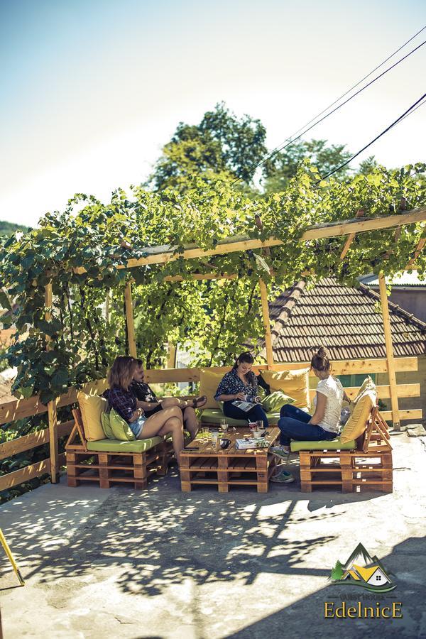 Guesthouse Edelnice Gornja Trepča المظهر الخارجي الصورة