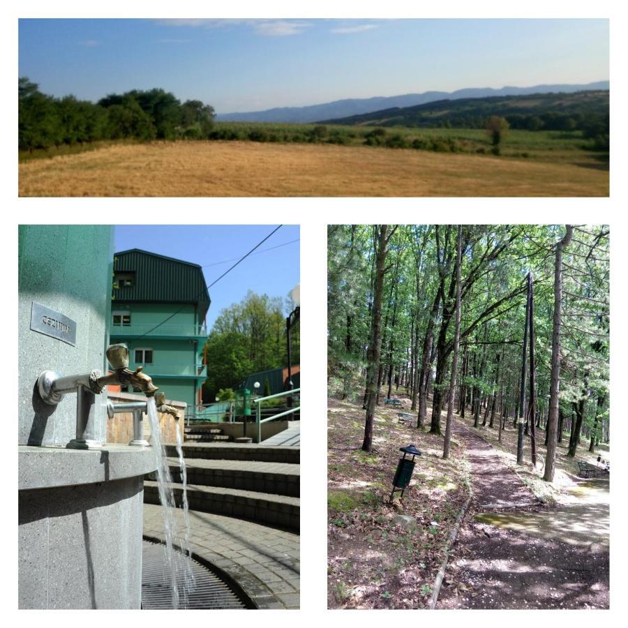 Guesthouse Edelnice Gornja Trepča الغرفة الصورة